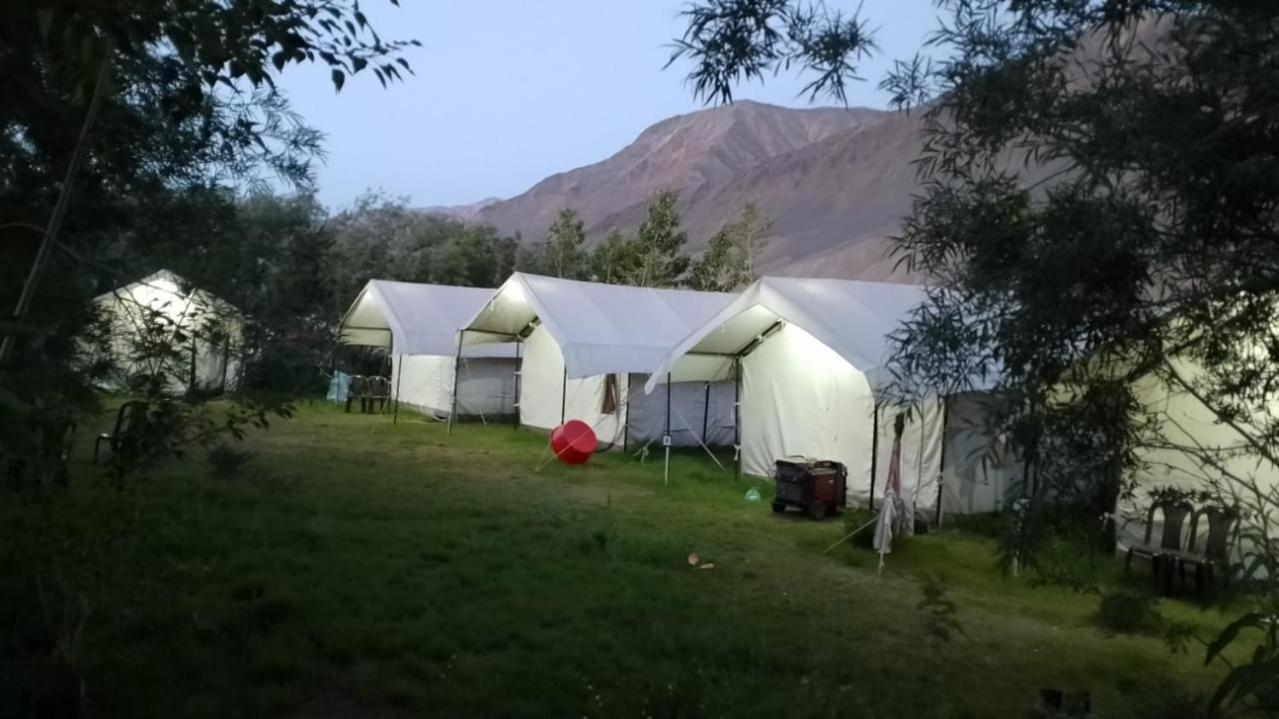 Padmaling Guest House Zanskar Eco Camp Padam Eksteriør bilde